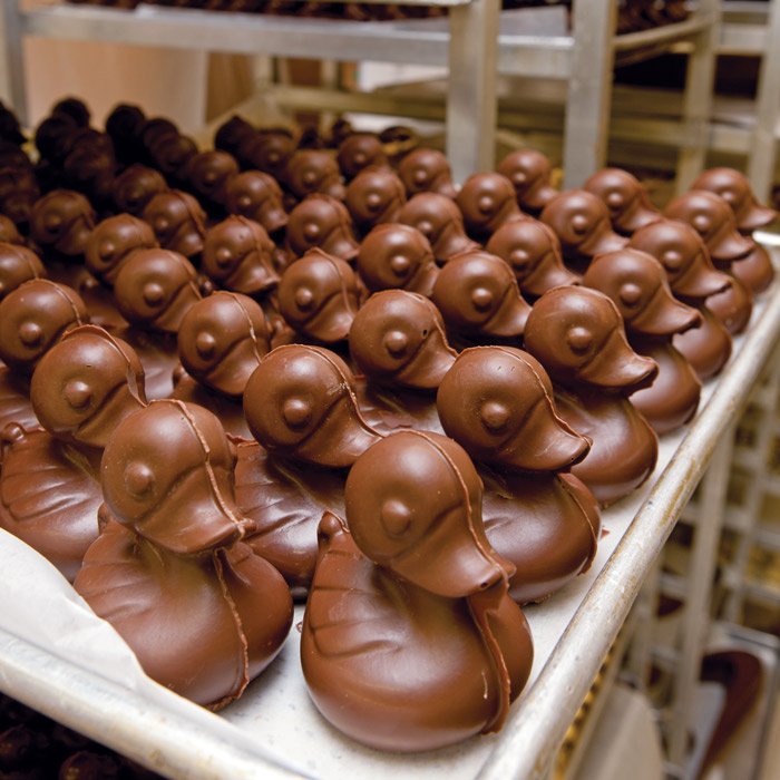 chocolate ducks